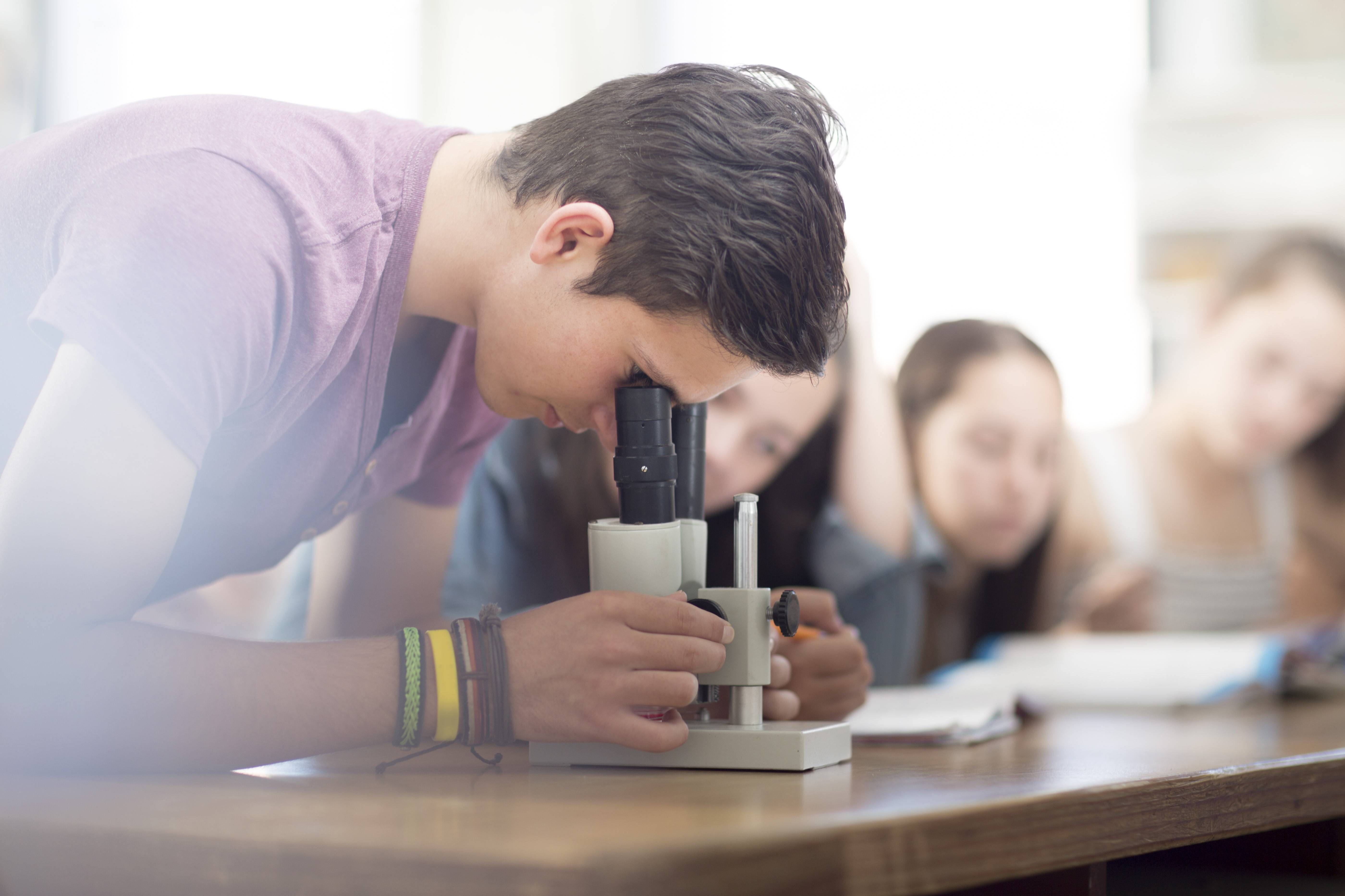 Schüler schaut im Unterricht durch ein Mikroskop. Schüler schaut im Unterricht durch ein Mikroskop.