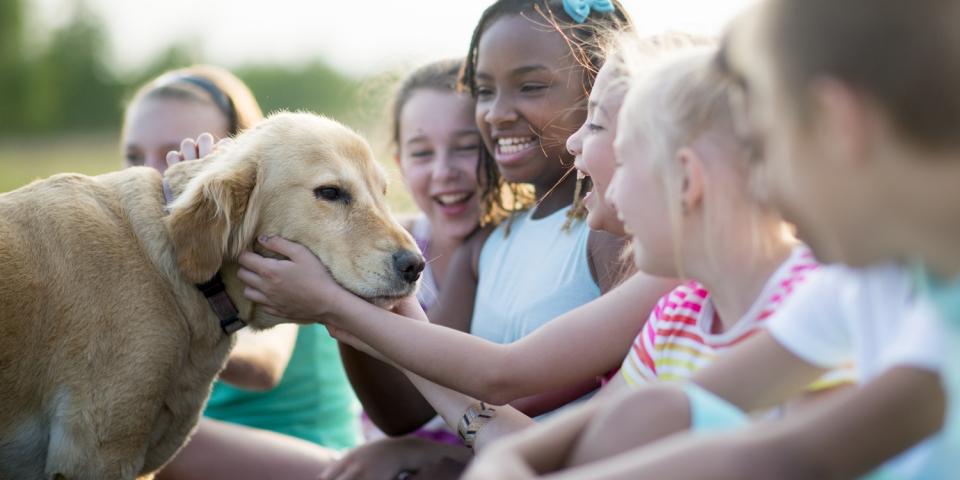 Mehrere Kinder sitzen auf dem Boden und freuen sich über einen Hund, der sich von einem Mädchen streicheln lässt. Mehrere Kinder sitzen auf dem Boden und freuen sich über einen Hund, der sich von einem Mädchen streicheln lässt.