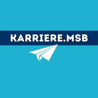 Ein Papierflieger im Comicstil zeigt in Richtung eines Textfeldes mit der Beschriftung "Karriere.MSB"