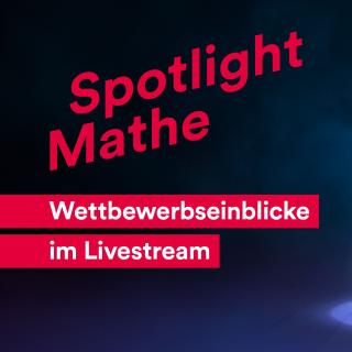 Die fünf Striche, die das Logo des Bundeswettbewerbs Mathematik sind, stehen im Scheinwerferlicht.