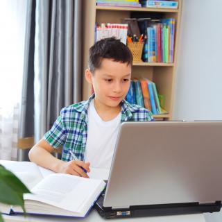 Junge sitzt vor einem Laptop am Schreibtisch