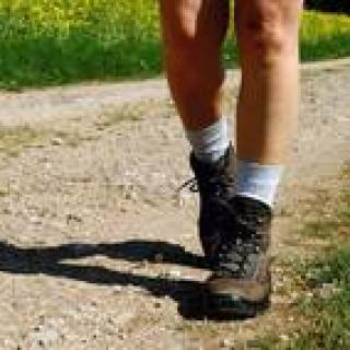 Füße in Wanderschuhen auf einem Feldweg.